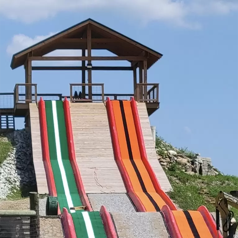 Choose & Cut Christmas Trees at Piney Acres in Fortville, IN