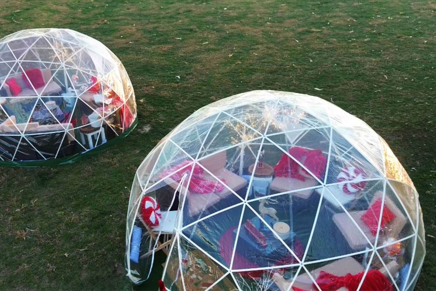 Choose & Cut Christmas Trees at Piney Acres in Fortville, IN