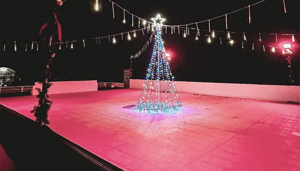 Choose & Cut Christmas Trees at Piney Acres in Fortville, IN